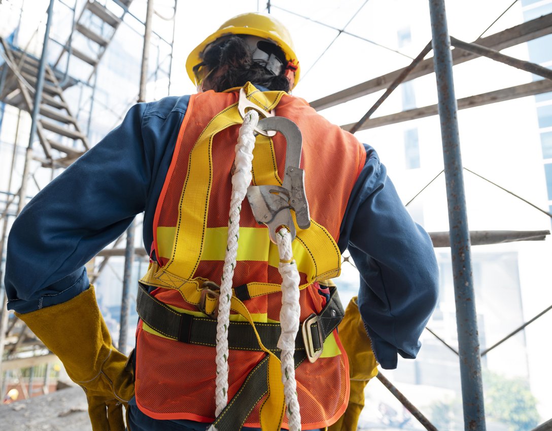 2015-2016 (Expanding Internationally) 